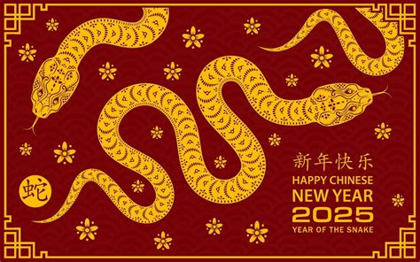 生肖:yqsiv-t7mxk= 龍|Chinese Zodiac: 2025 Year of Snake, 12 Animal Signs, Calculator